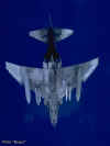 F-4 Unterseite.jpg (26349 Byte)
