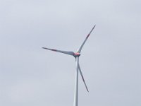 Laubersreuth 21042017 087